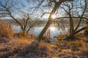 River Main at sunrise in winter, Bürgstadt, Miltenberg, Churfranken, Spessart, Franconia, Bavaria, Germany River Main at sunrise in winter, Bürgstadt, Miltenberg, Churfranken, Spessart, Franconia, Bavaria, Germany